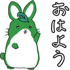 Rabbit Midoli