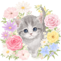 Cute cat and colorful flowers [revised]