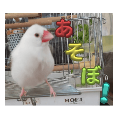 y_20230729144532