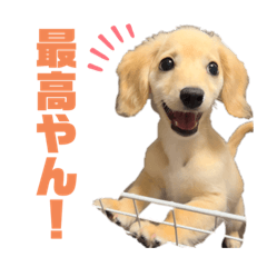 Saori_20230729142305