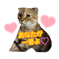 yuto_20230729142729