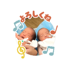 hiyori_20230729103922