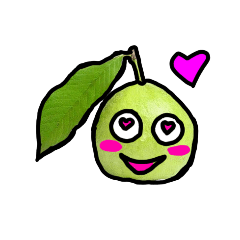 sweet guava