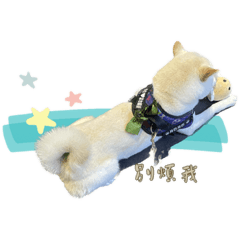 Chuu_20230729205511 – สติกเกอร์ LINE | LINE STORE