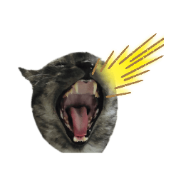 Charcoal and friends