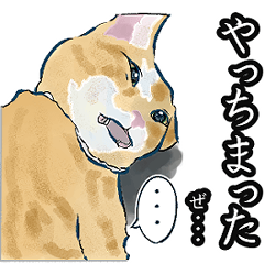 the cutest cats in japan3