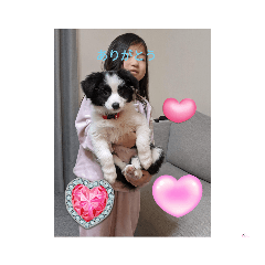 kosuke_20230730115307