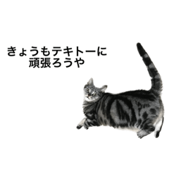 Y_20230728183144