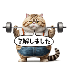 A diet cat that moves sharply? !