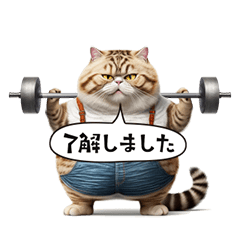 A diet cat that moves sharply? !