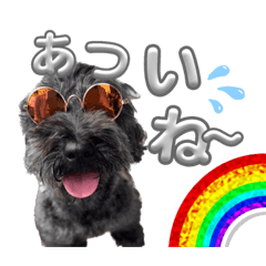 milimili_20230728235429