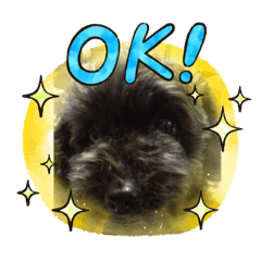 kaihioccy_20230730151506