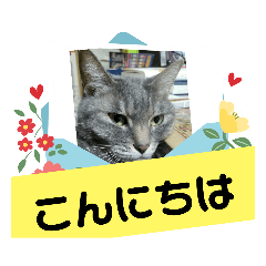 nao_20230730153152
