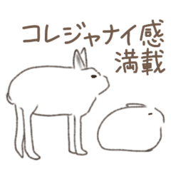 The Polar Rabbits' Stickers