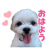 yuuka_20230730214931