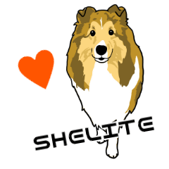 Sheltie Lover 26
