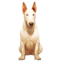 Bull terrier-daily stickers