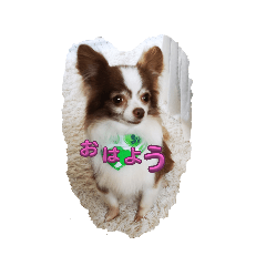 sayumam_20230730214203