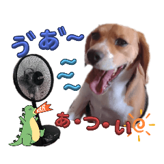 himetama_20230731113757