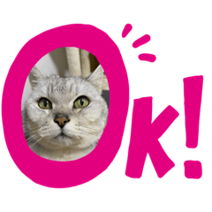 sayuri_20230731153145