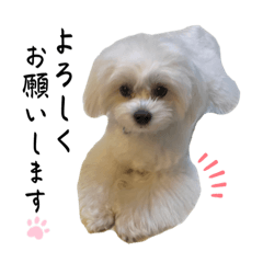 Nozomi_20230731163106