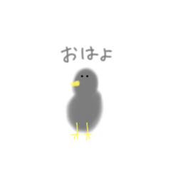riri_20230731142143