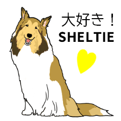 Sheltie Lover 27