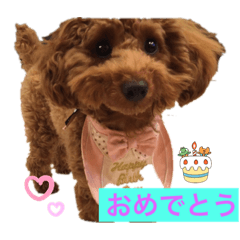 murasaya_20230731224015