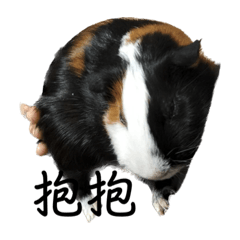 天竺鼠餐車麻吉