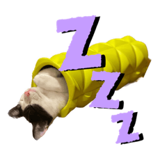 tarantino_20230801140043