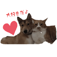 yuka_20230731215033