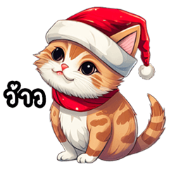 Christmas Little Cat Thai
