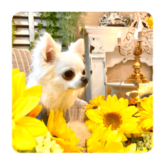 HIRO N_20230801115208