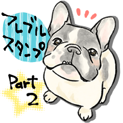 French Bulldog that can be use every day