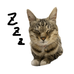 れお君スタンプzzz