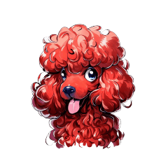 red poodle so cute