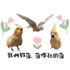 菏家平安