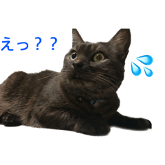 chisa_20230801211109