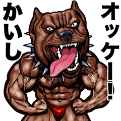 Kaishi dedicated Muscle macho animal