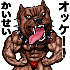 Kaisei dedicated Muscle macho animal