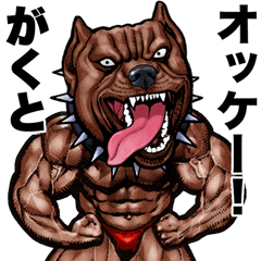 Gakuto dedicated Muscle macho animal