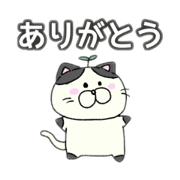 Chisa_20230801194800