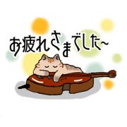 chacha_20230801204843