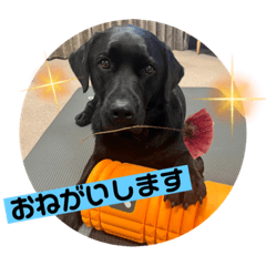 aoi_20230801221254