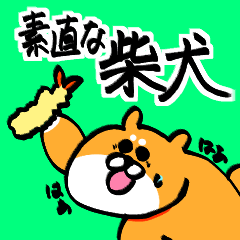 Honest shiba inu desu