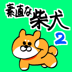 Honest shiba inu2