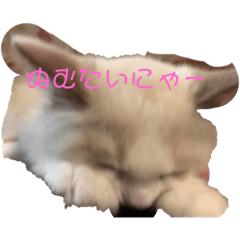nao_20230802053319