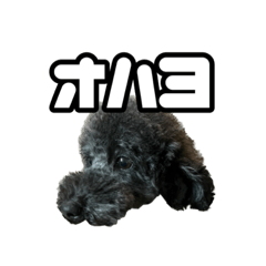 mano_20230801220818