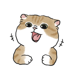 Oba cat10 - ginger cat sticker
