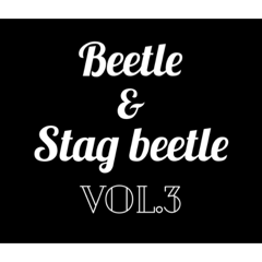 Beetle&Stag beetle 第3弾